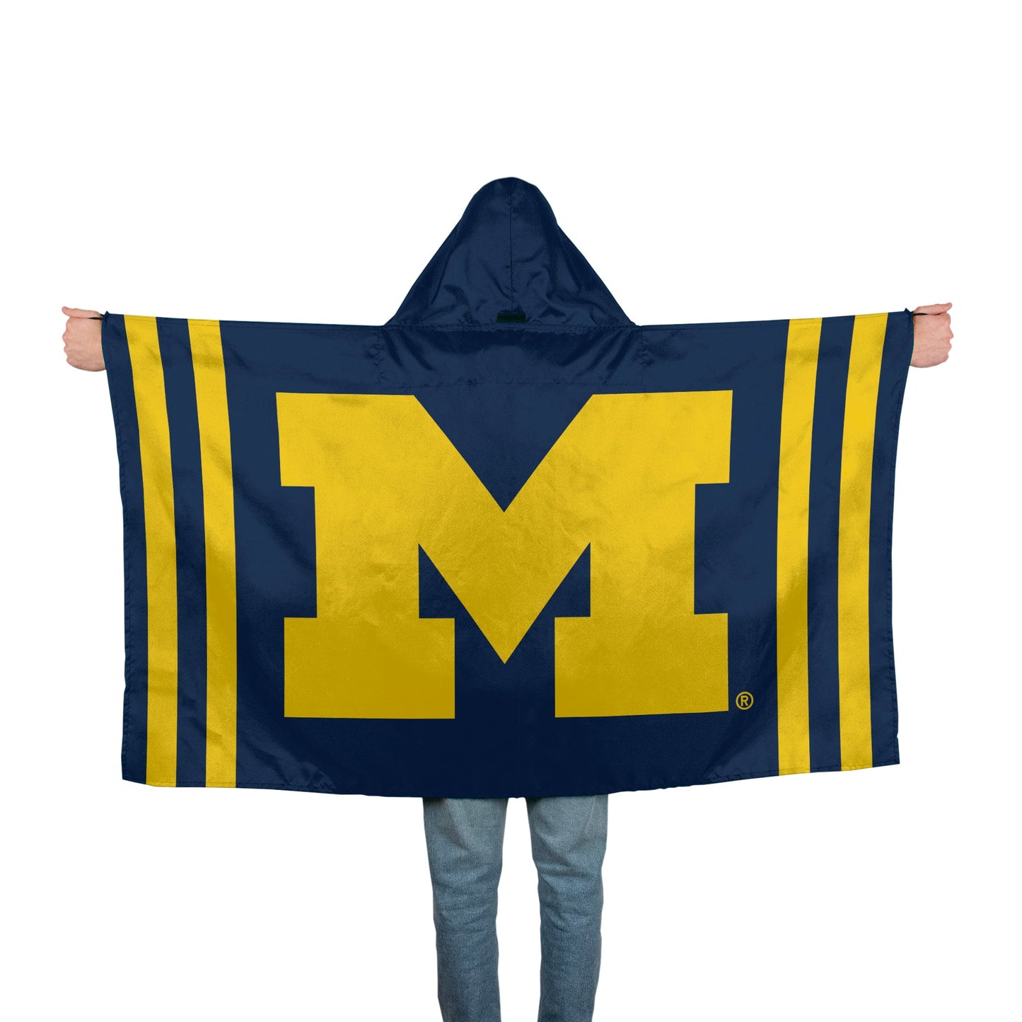 University of Michigan