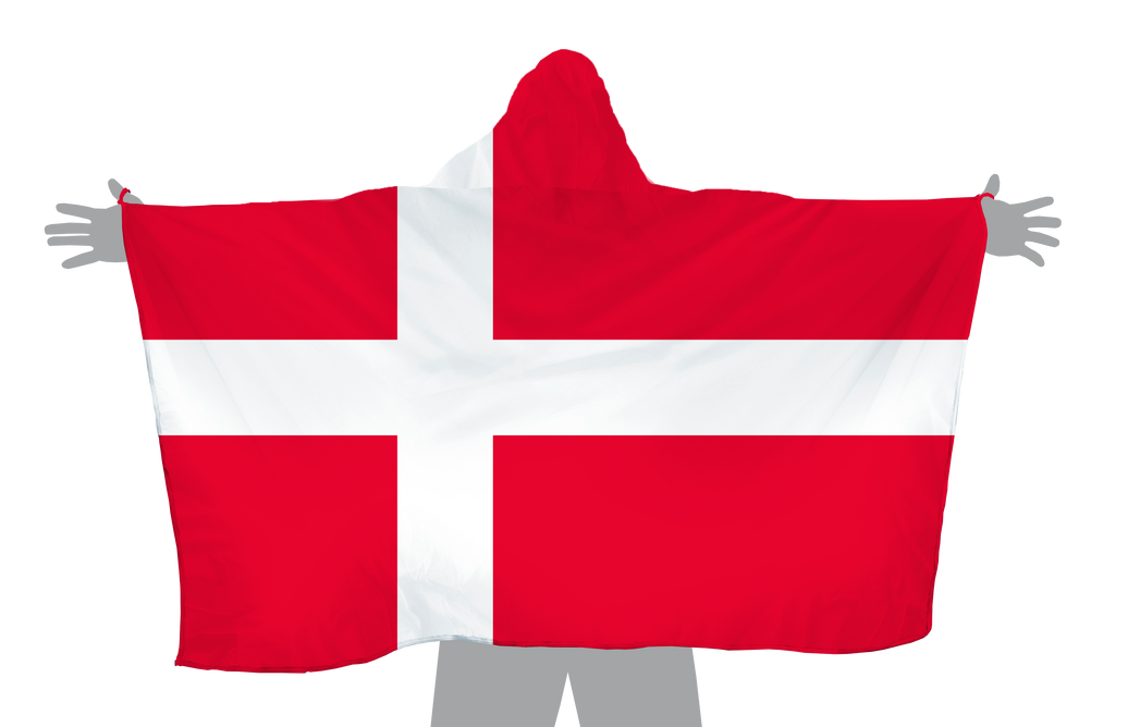 Denmark Hoodie Flag