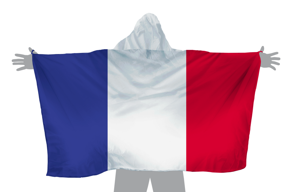 France Hoodie Flag