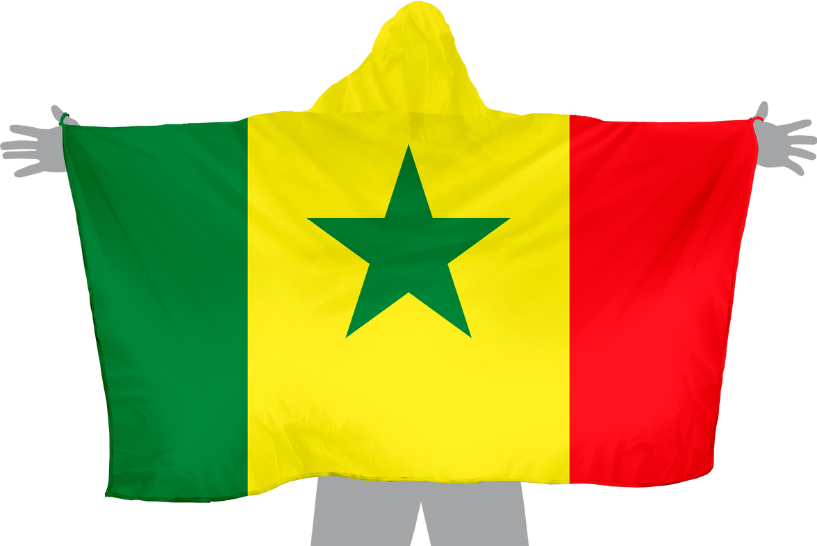 Senegal Hoodie Flag