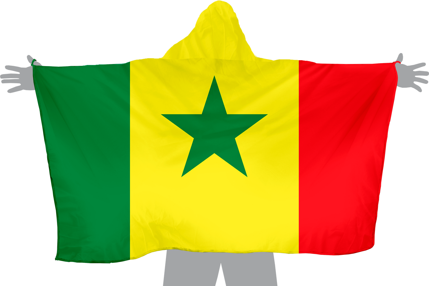 Senegal Hoodie Flag