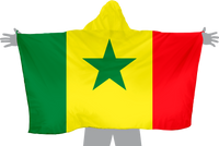 Senegal Hoodie Flag
