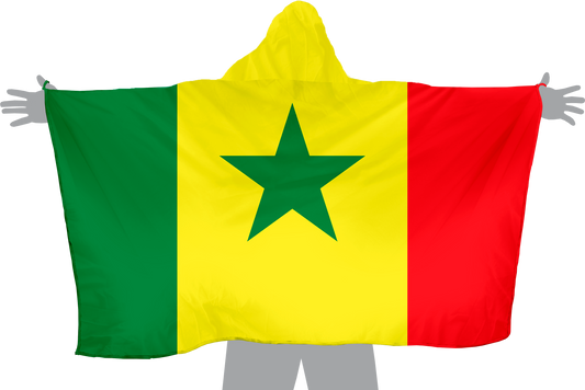 Senegal Hoodie Flag