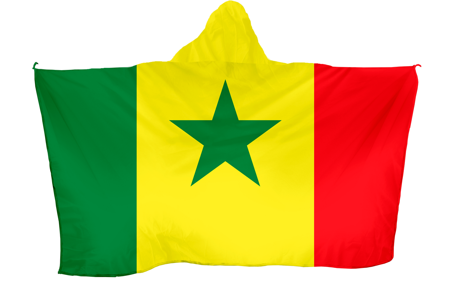 Senegal Hoodie Flag